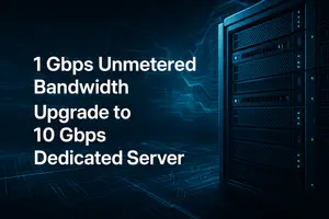 Dedicated Server