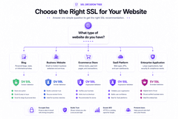 Decision workflow for selecting the right SSL certificate based on website requirements